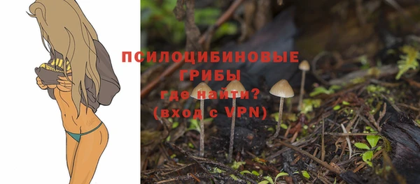 твердый Верея